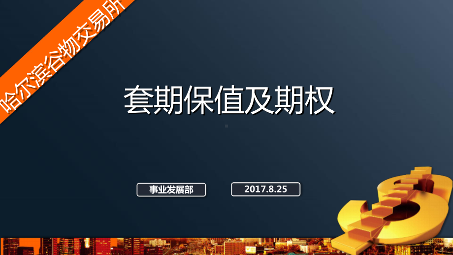 套期保值与期权课件.ppt_第1页