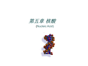 最新-生物化学-课件.ppt