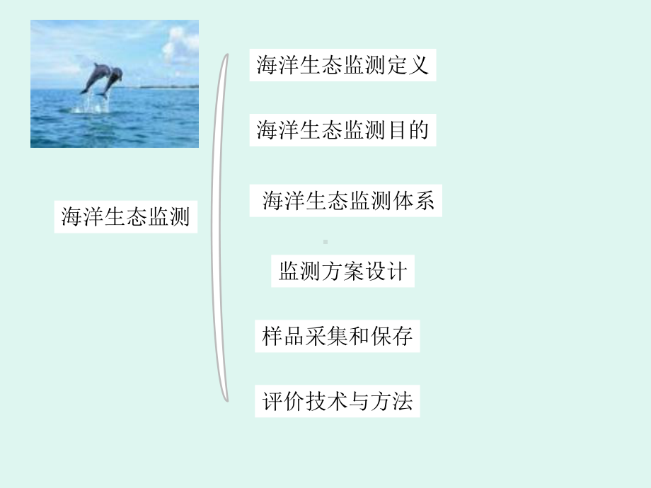 海洋生态监测课件.ppt_第2页