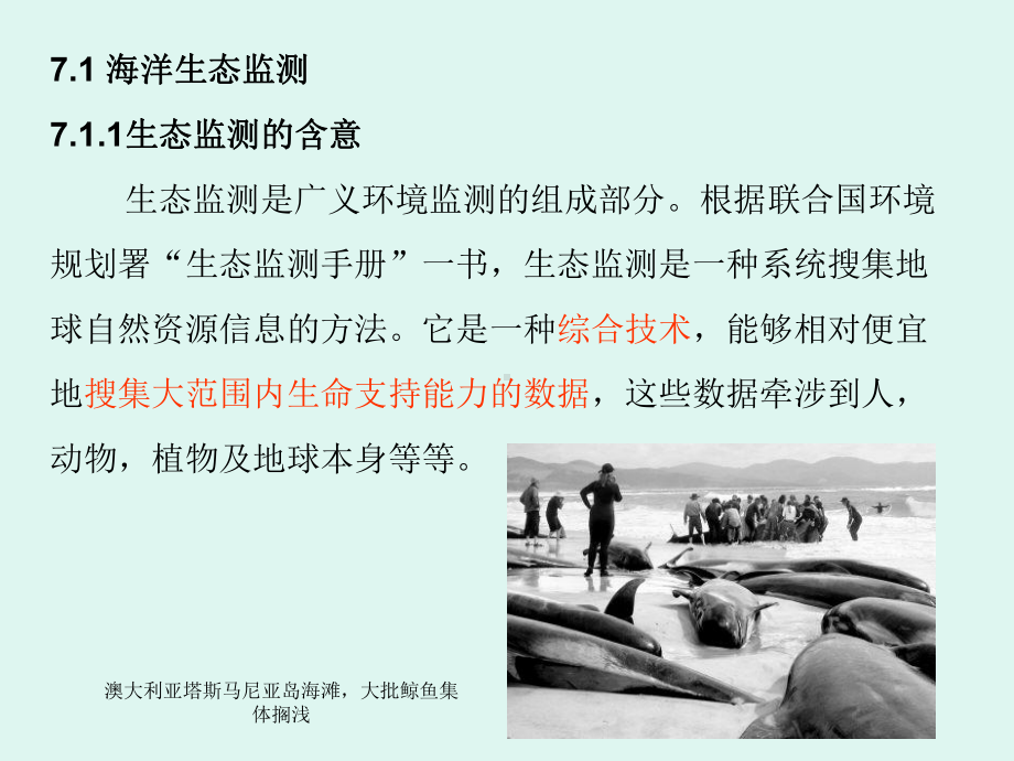 海洋生态监测课件.ppt_第3页