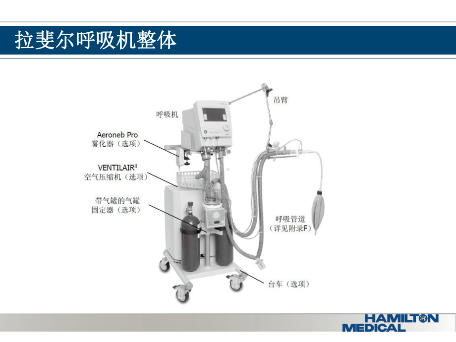 拉斐尔呼吸机培训讲解课件.ppt_第2页