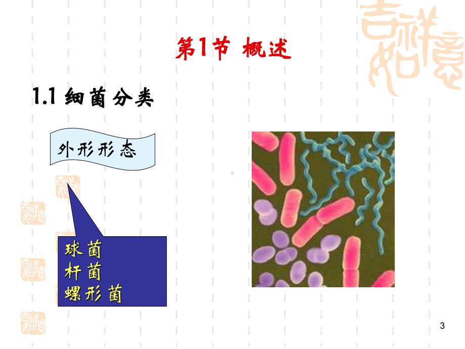 抗菌剂的特性比较课件.ppt_第3页