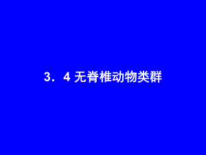 无脊椎动物类群课件.ppt