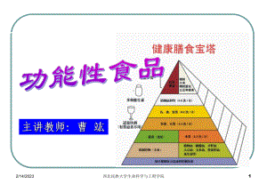 最新-膳食纤维的功能-课件.ppt