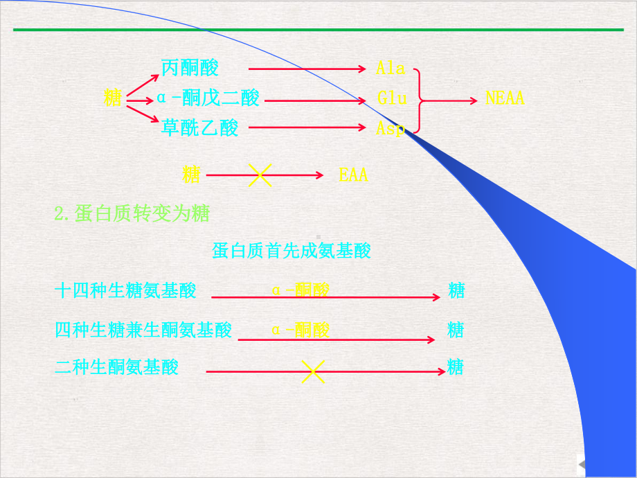 生化(联系与调控精选课件.pptx_第1页