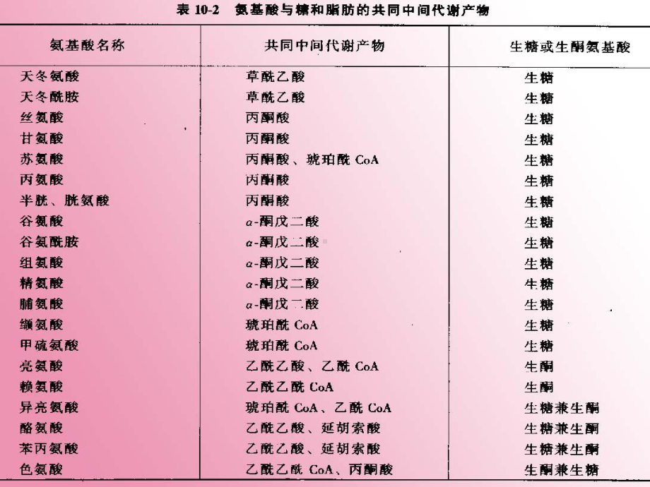 生化(联系与调控精选课件.pptx_第2页