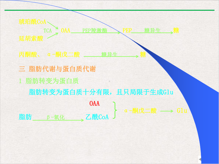 生化(联系与调控精选课件.pptx_第3页