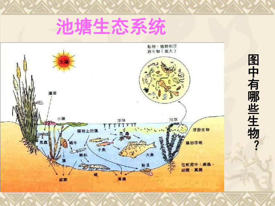 生物群落的基本单位--种群课件.ppt_第2页