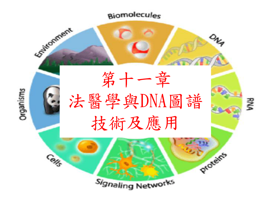 法医学与DNA图谱技术及应用课件.ppt_第1页