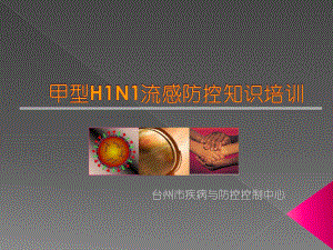 甲型H1N1流感的基本知识课件.ppt