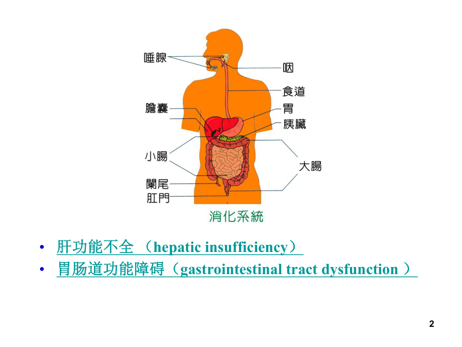 消化系统功能障碍课件.ppt_第2页