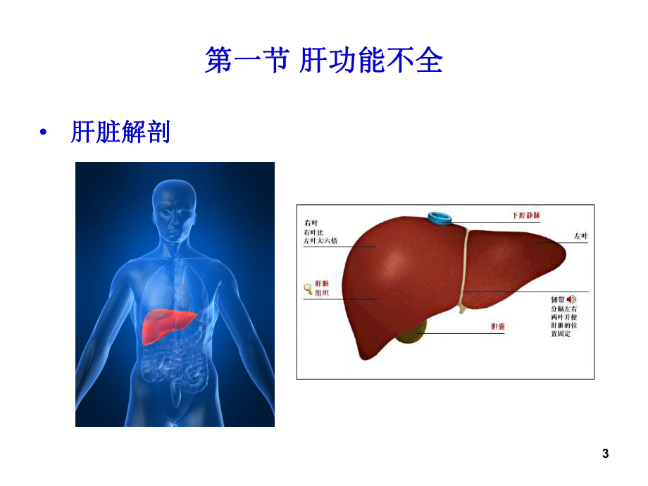 消化系统功能障碍课件.ppt_第3页