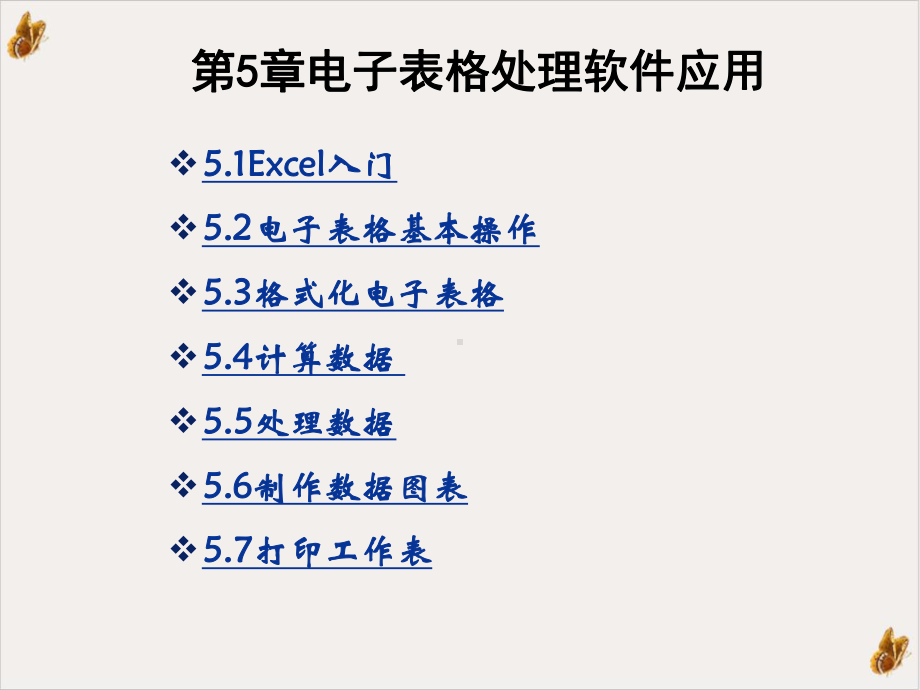 电子表格处理软件应用计算机应用基础课件.ppt_第2页