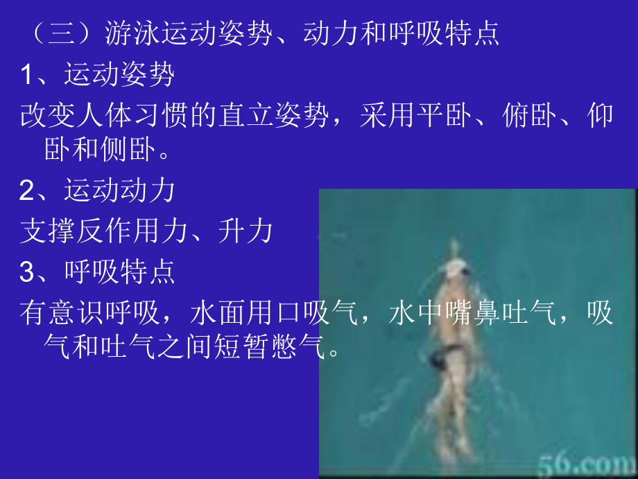 游泳教学理论与方法-课件.ppt_第3页