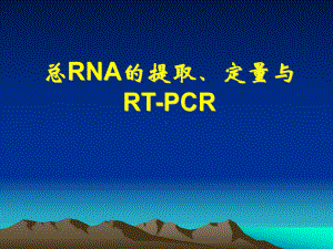 总RNA的提取和RT-PCR最新详解课件.ppt