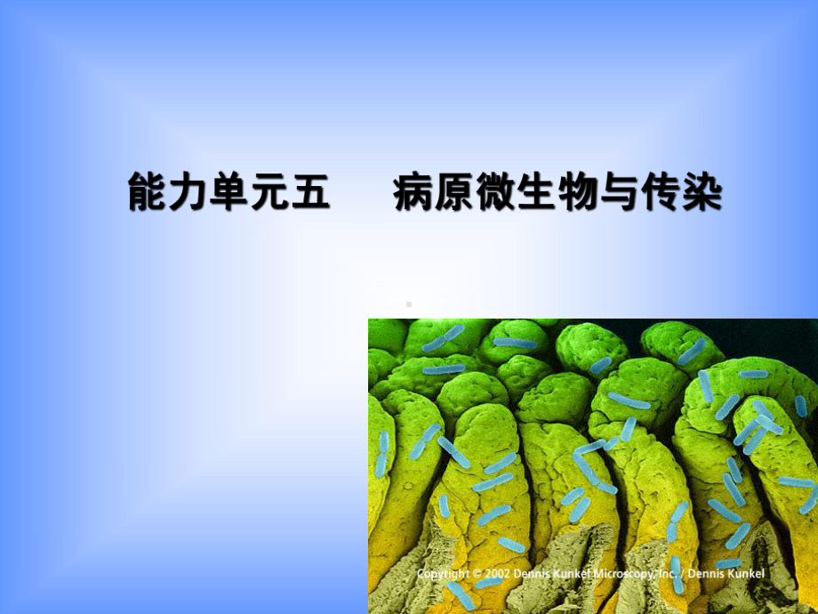 病原微生物与传染-课件.ppt_第1页