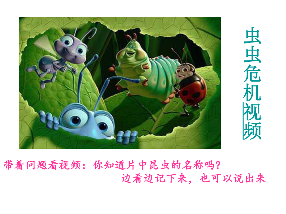 我和昆虫美术课件.ppt_第2页