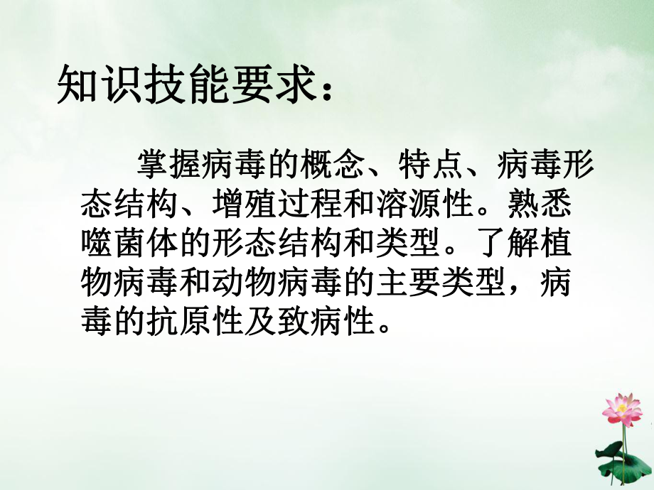 教学模块四病毒课件.ppt_第3页