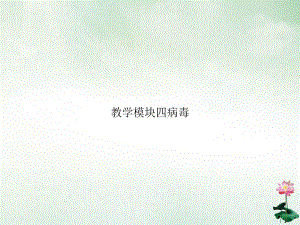 教学模块四病毒课件.ppt