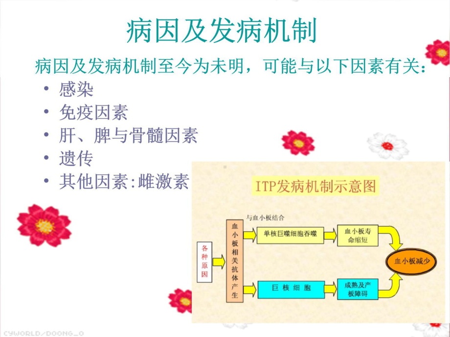 特发性血小板减少性紫癜患者的护理查房教学文案课件.ppt_第3页