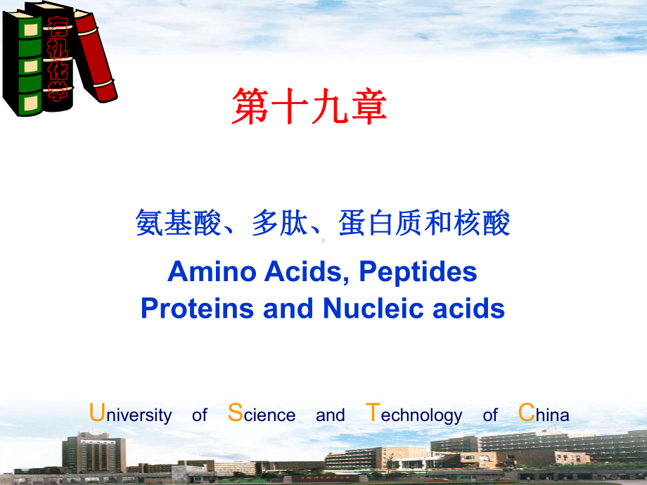 有机化学19-氨基酸、多肽、蛋白质和核酸课件.ppt_第1页