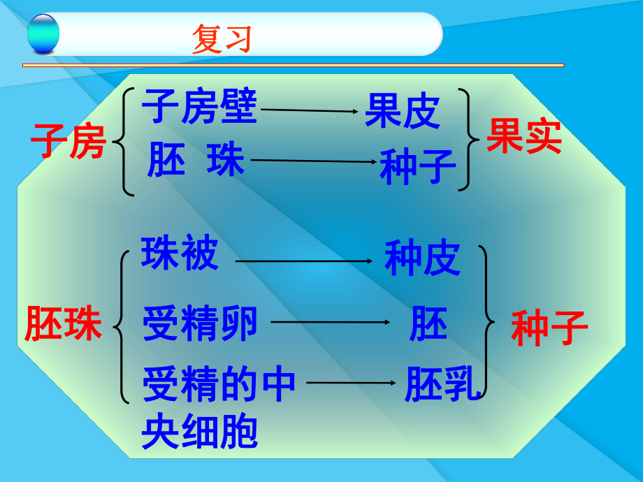 种子的萌发课件22-济南版优秀课件.ppt_第1页