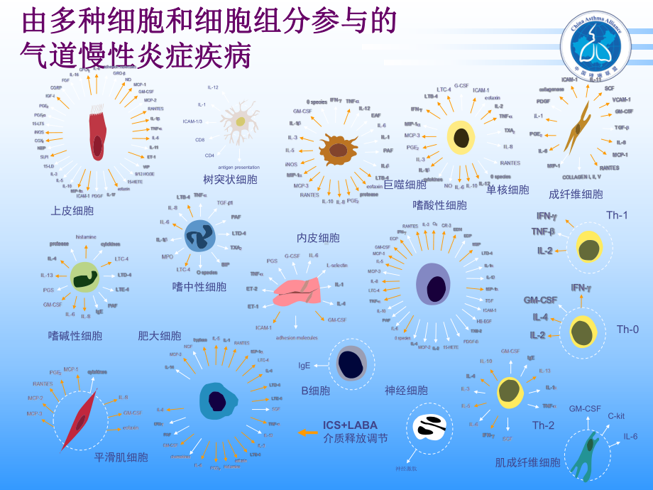 哮喘诊断和分级课件.ppt_第3页