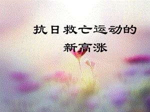 抗日救亡运动课件.ppt