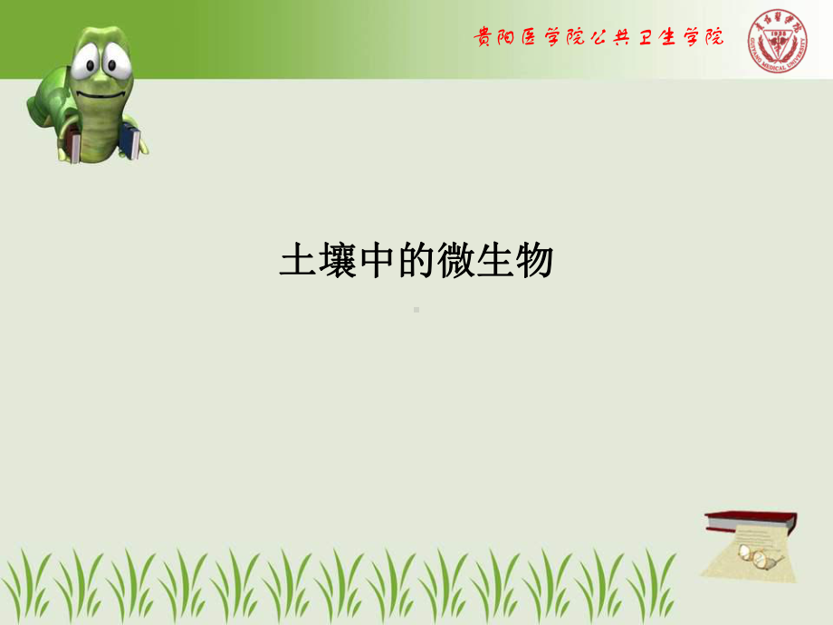 土壤中的微生物课件.ppt_第1页