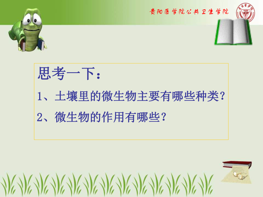 土壤中的微生物课件.ppt_第2页