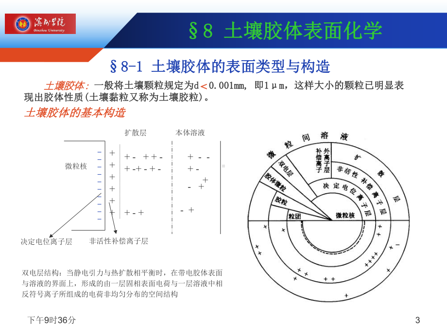 土壤学第八章-土壤胶体表面化学课件.ppt_第3页