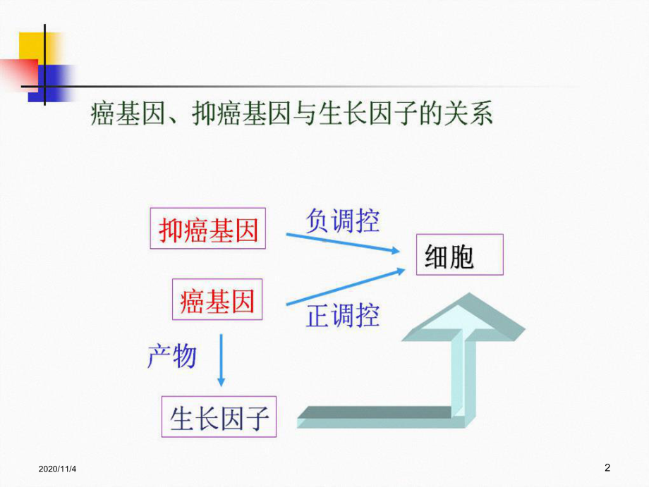 癌基因抑癌基因和生长因子课件.ppt_第2页