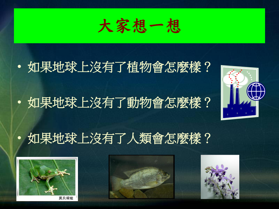 生物多样性宣导课件.ppt_第2页