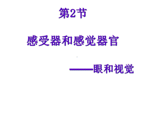 感受器和感受器官二课时眼与视觉课件.pptx