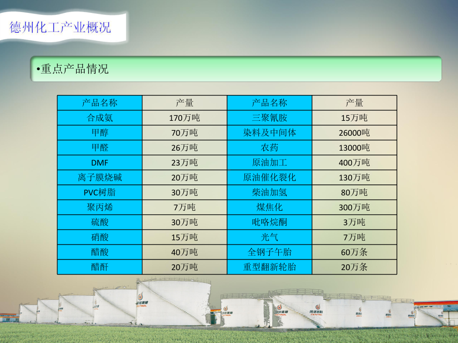 德州化工产业招商宣传手册2(同名640)课件.ppt_第2页