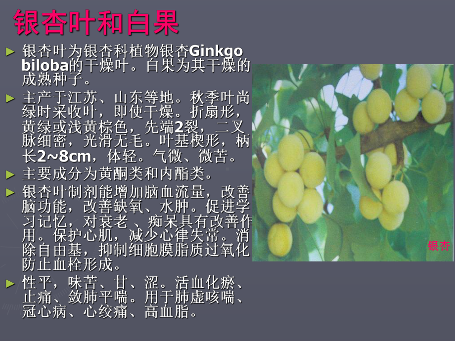 植物类群和植物药课件.ppt_第3页