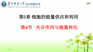 光合作用与能量转化教学课件1.pptx