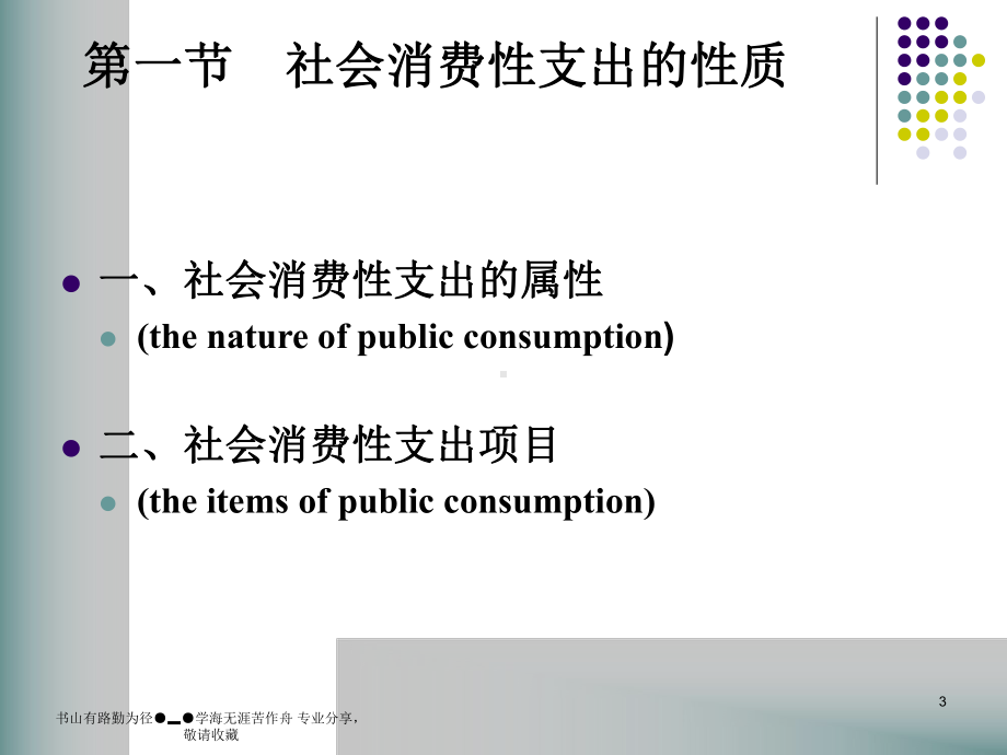 社会费性支出-课件.ppt_第3页