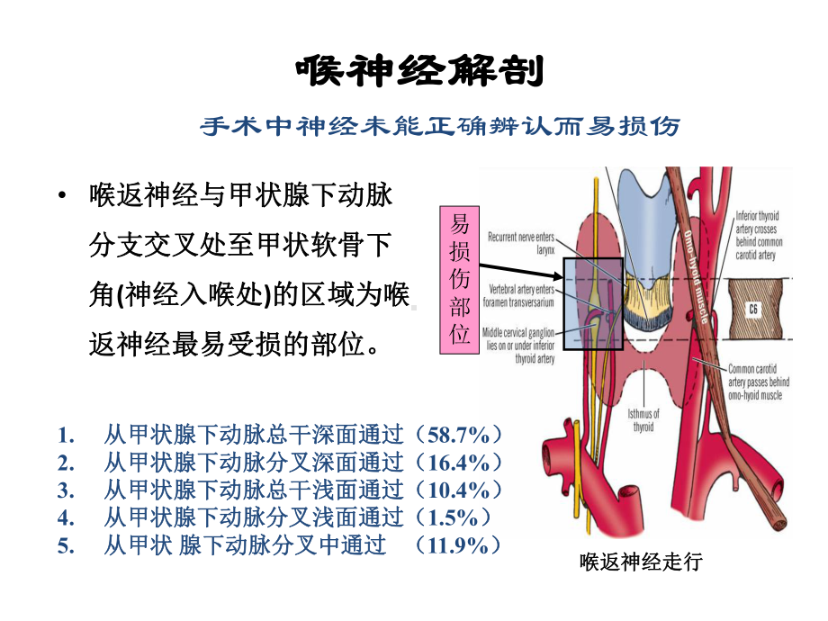 甲状腺手术中的喉返神经保护课件.pptx_第3页