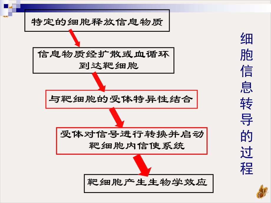 激素作用机制实用课件.pptx_第3页