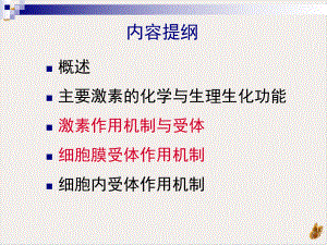 激素作用机制实用课件.pptx