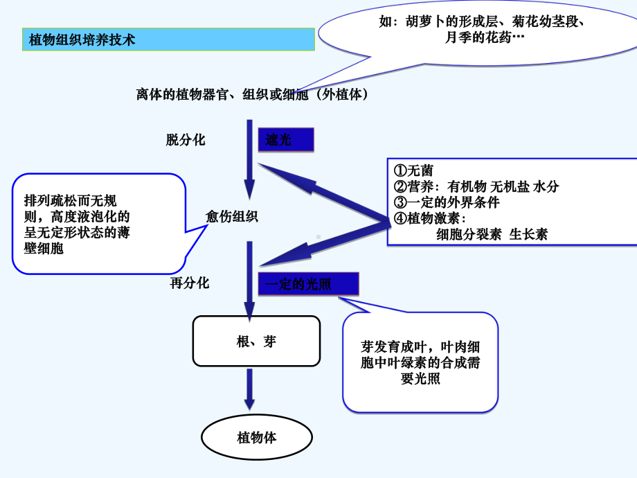 植物细胞工程的实际应用[1]课件.ppt_第2页