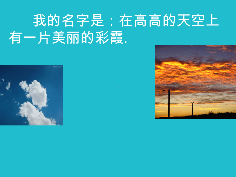 我的名字美美菊花课件.ppt_第2页