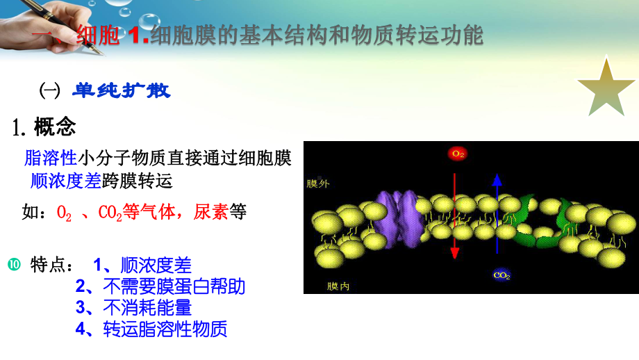 卫生职称药士课件.ppt_第3页