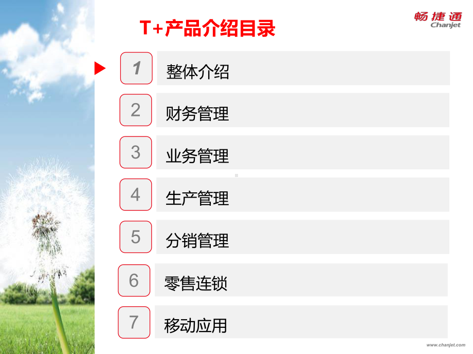 畅捷通T+企业应用解决方案即产品介绍手册讲稿课件.ppt_第2页