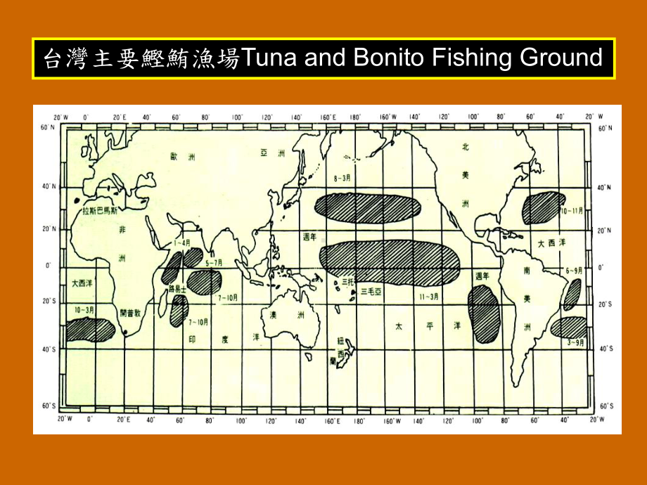 海水鱼类图监全课件.ppt_第3页