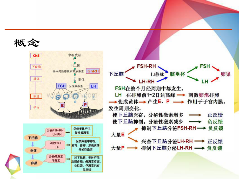 异常子宫出血教材课件.ppt_第3页