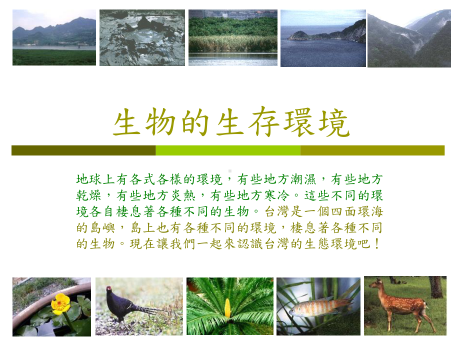 生物的生存环境课件.ppt_第1页