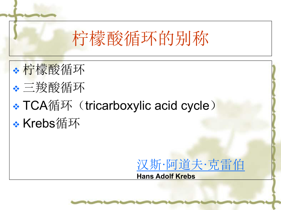 生物化学-柠檬酸循环-课件.ppt_第2页