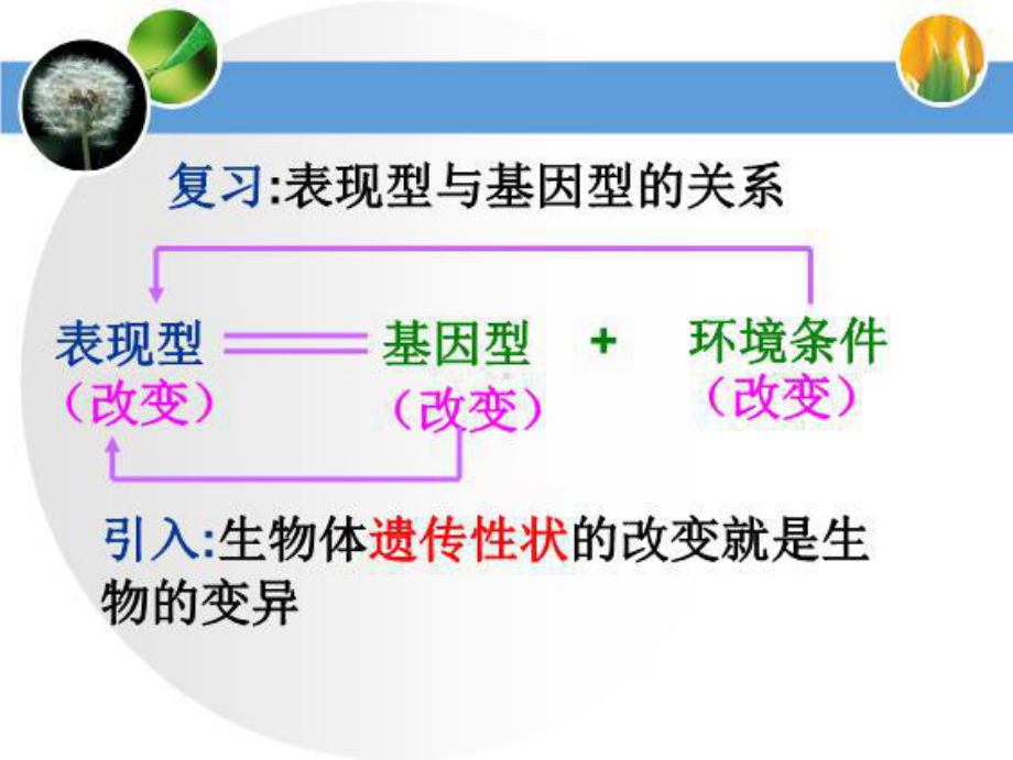 最新基因突变和基因重组优质课1127课件.ppt_第3页